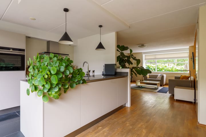 Foto 10 van Junistraat 103