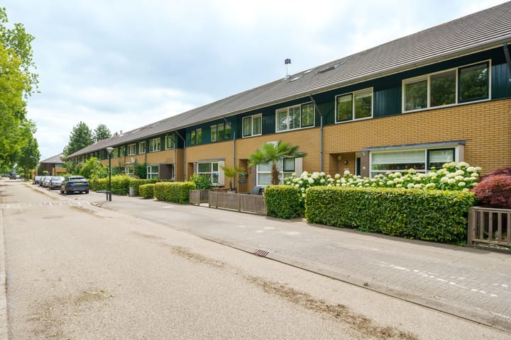 Foto 36 van Junistraat 103