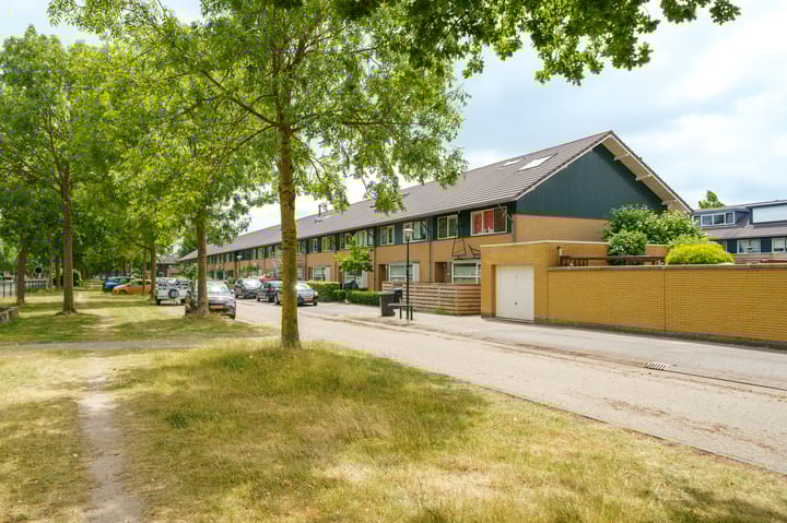 Foto 38 van Junistraat 103