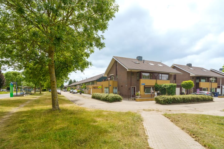 Foto 39 van Junistraat 103