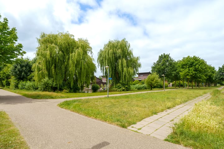 Foto 40 van Junistraat 103