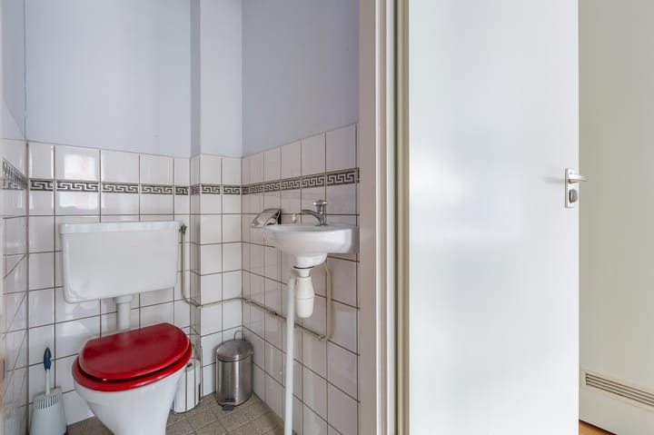 Foto 15 van Havikskruid 30