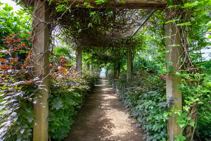 Foto 63 van De Steenmaat 1