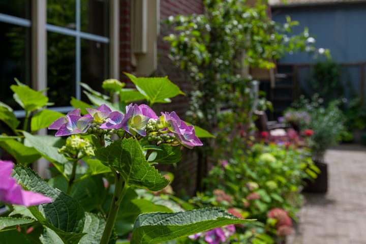 Foto 81 van De Steenmaat 1