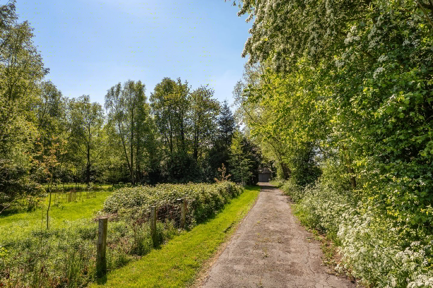 Foto 4 van Oude Commissieweg 25