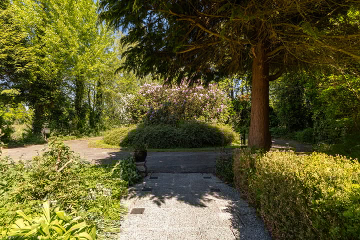 Photo 8 of Oude Commissieweg 25