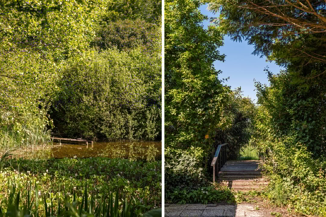 Foto 11 van Oude Commissieweg 25