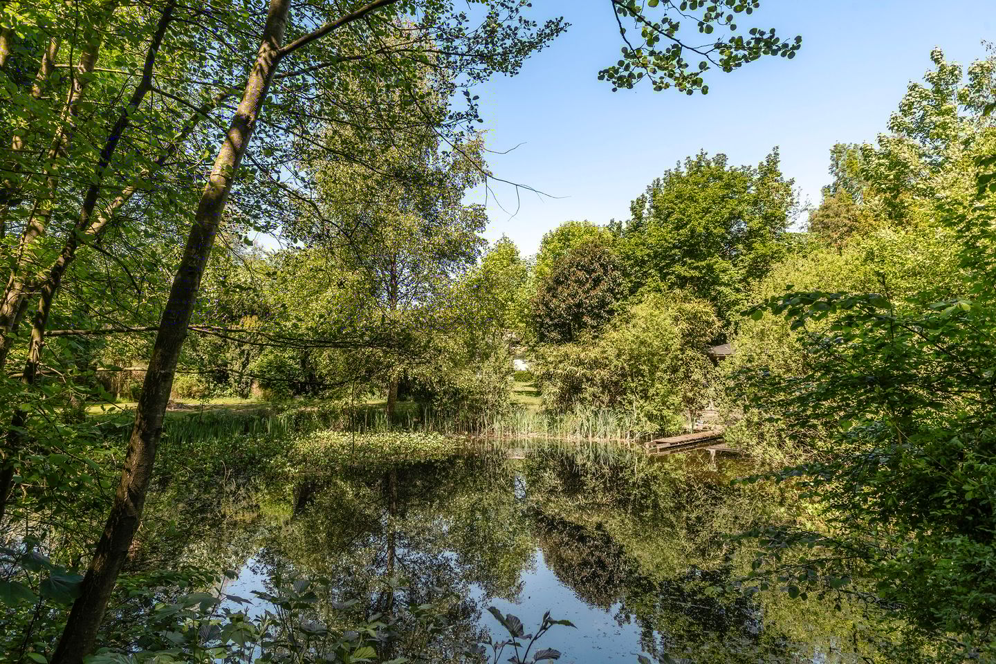 Foto 49 van Oude Commissieweg 25