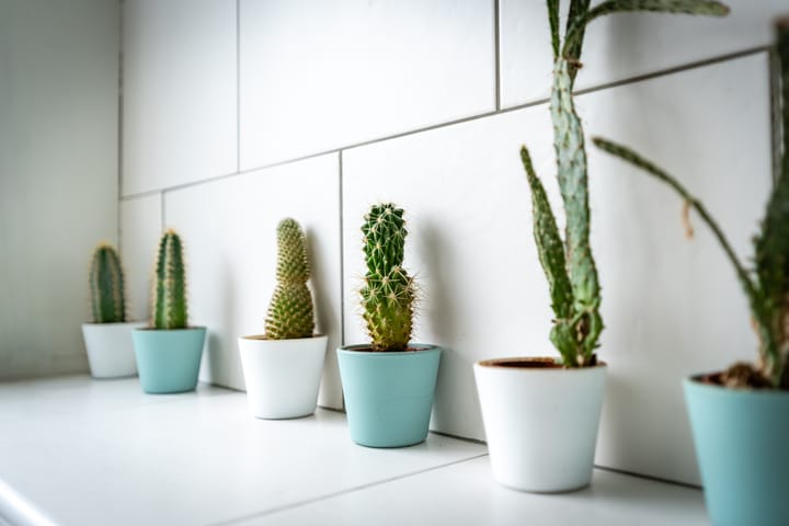 Foto 53 van Gelderstraat 94