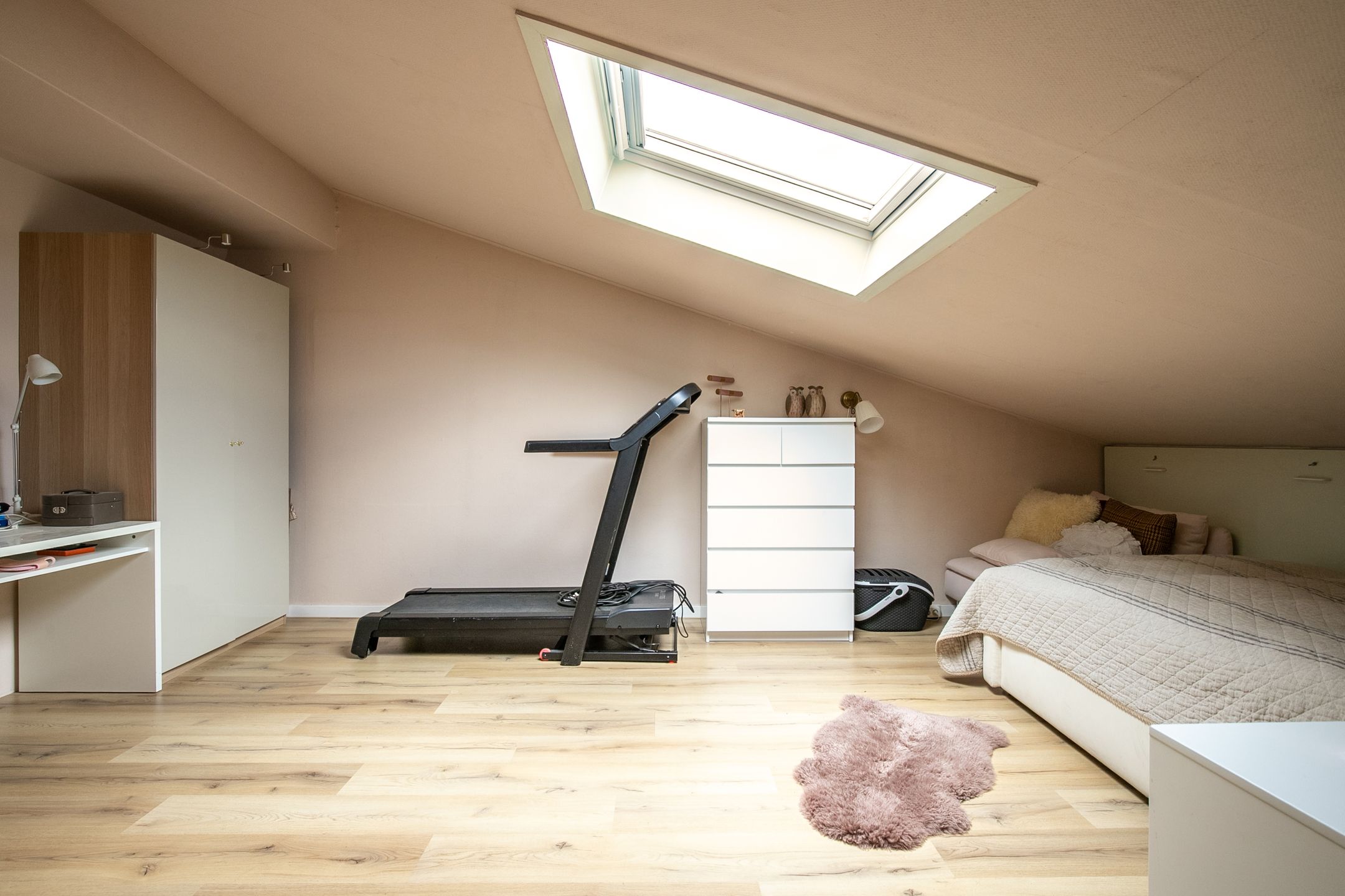 Photo 21 of Carisven 47