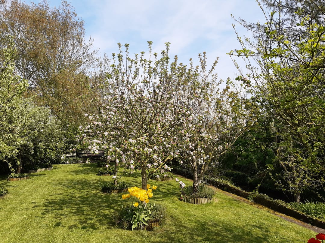 Foto 2 van Klittenweg 6