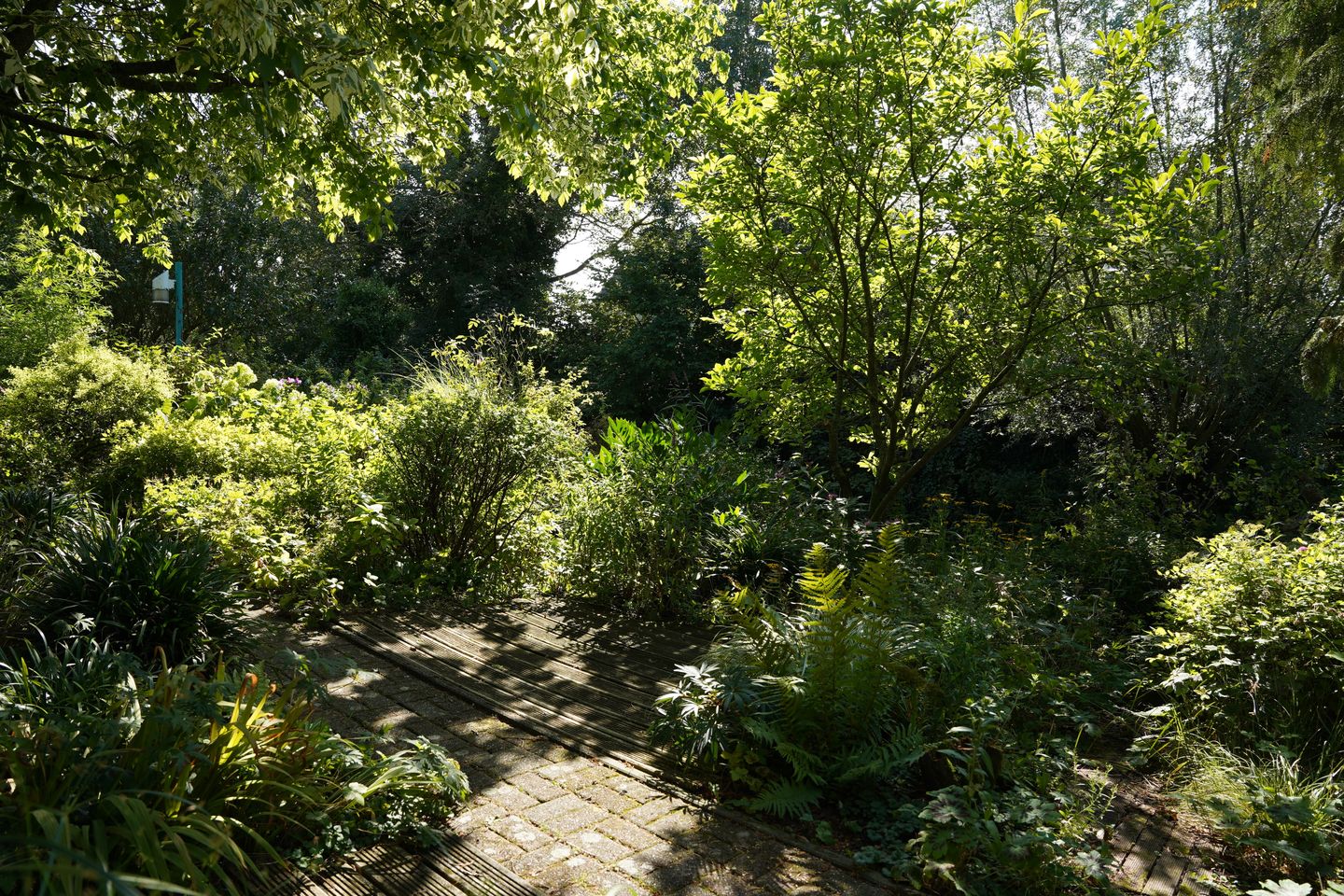 Foto 34 van Klittenweg 6