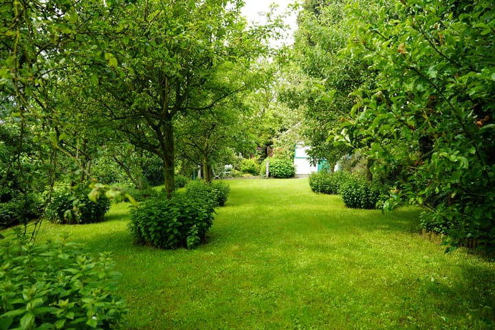 Foto 37 van Klittenweg 6