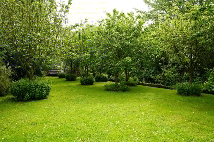 Foto 38 van Klittenweg 6