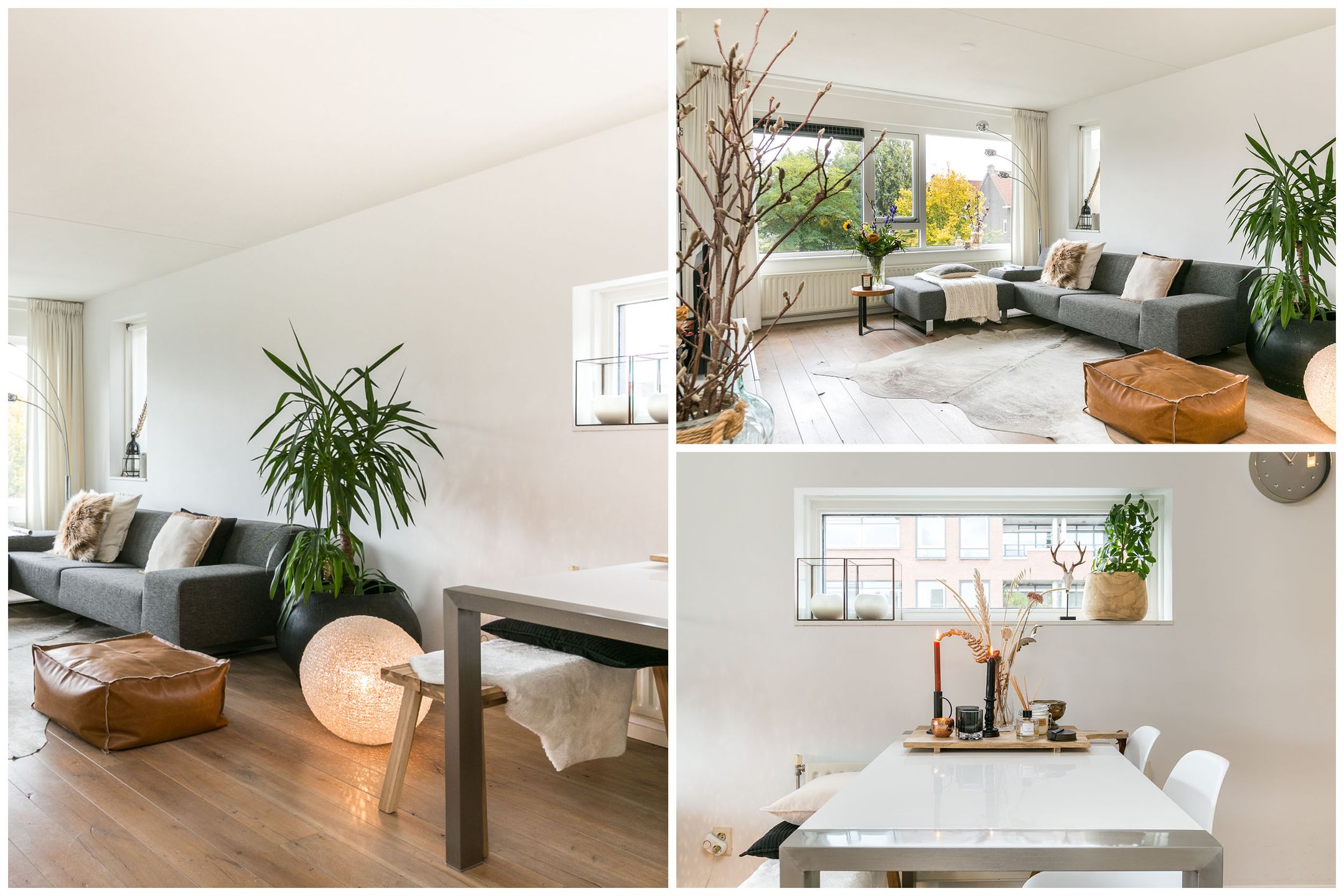 Foto 9 van Willem de Rijkestraat 37