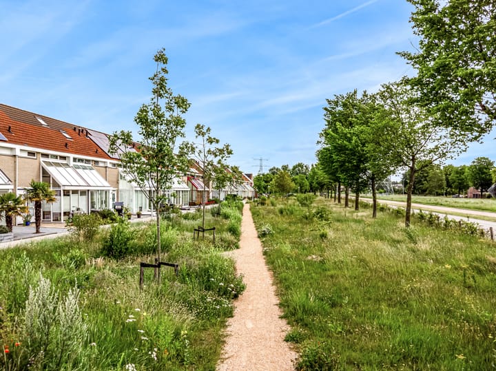 Foto 38 van Torenveen 8