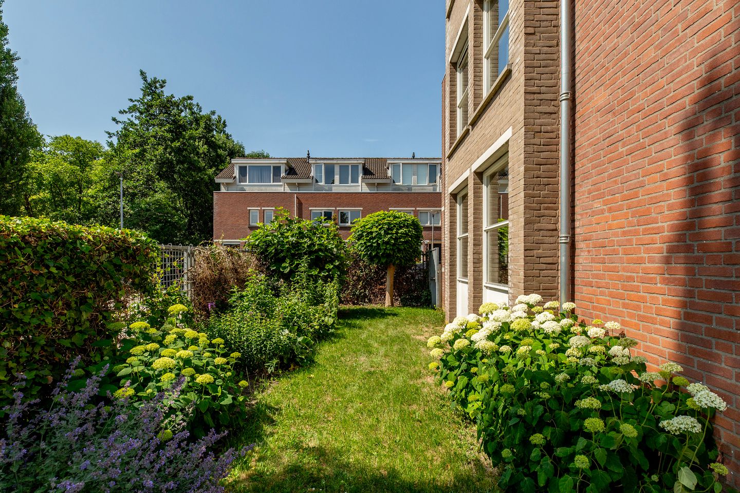 Foto 25 van Professor Bolklaan 50