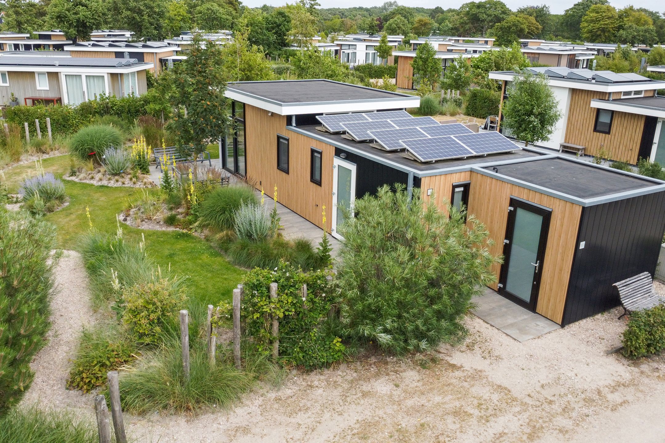 Photo 3 of Maireweg 16-0069