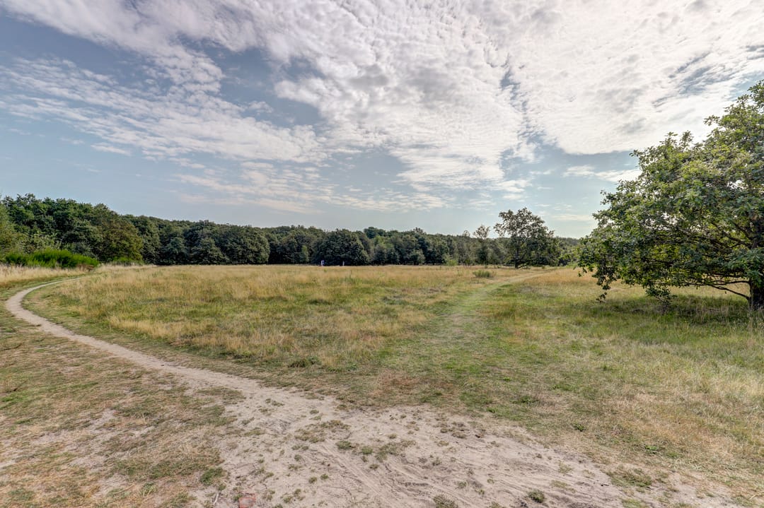 Photo 31 of Maireweg 16-0069