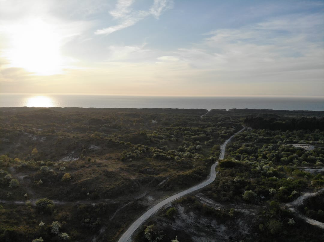 Photo 37 of Maireweg 16-0069