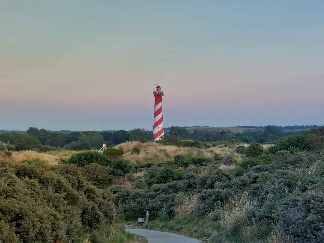 Photo 38 of Maireweg 16-0069