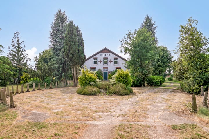 Foto 6 van Lorbaan 14