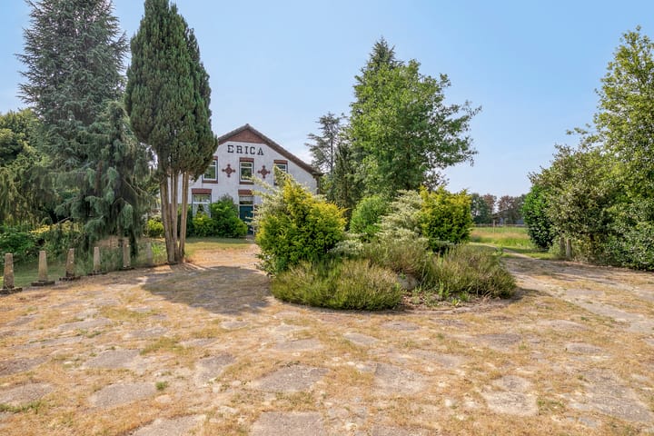 Foto 7 van Lorbaan 14