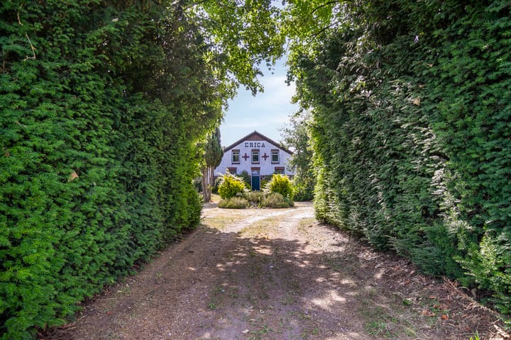 Foto 8 van Lorbaan 14