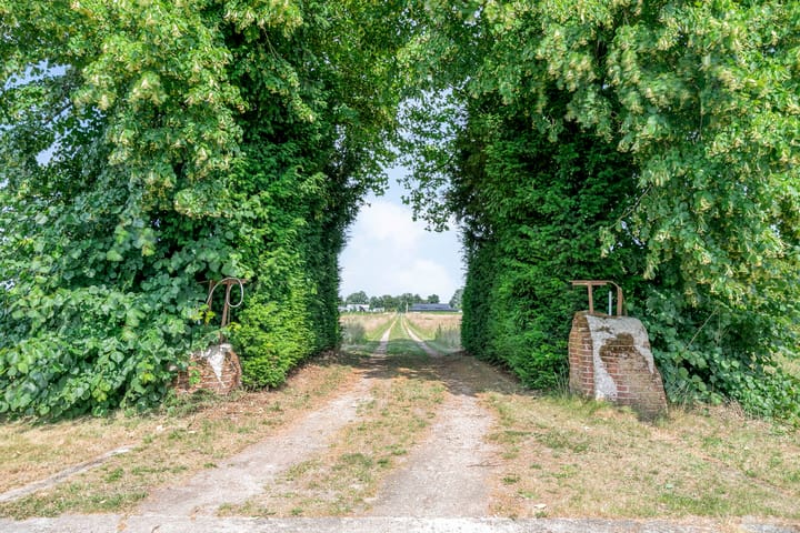 Foto 53 van Lorbaan 14