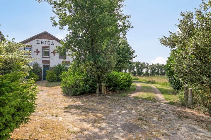 Foto 54 van Lorbaan 14