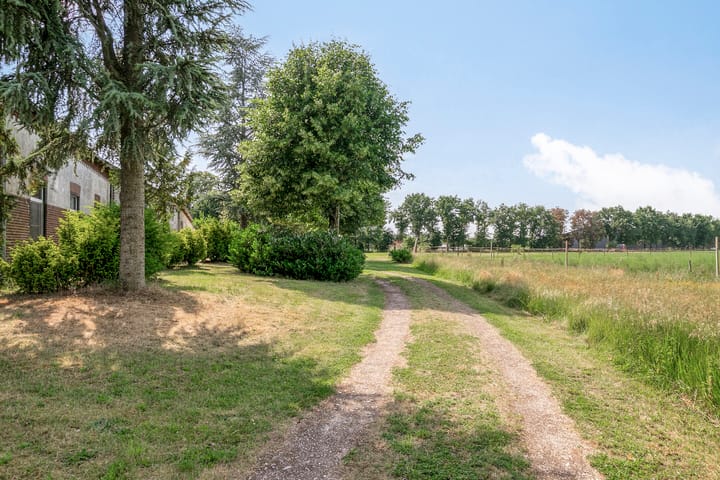 Foto 56 van Lorbaan 14