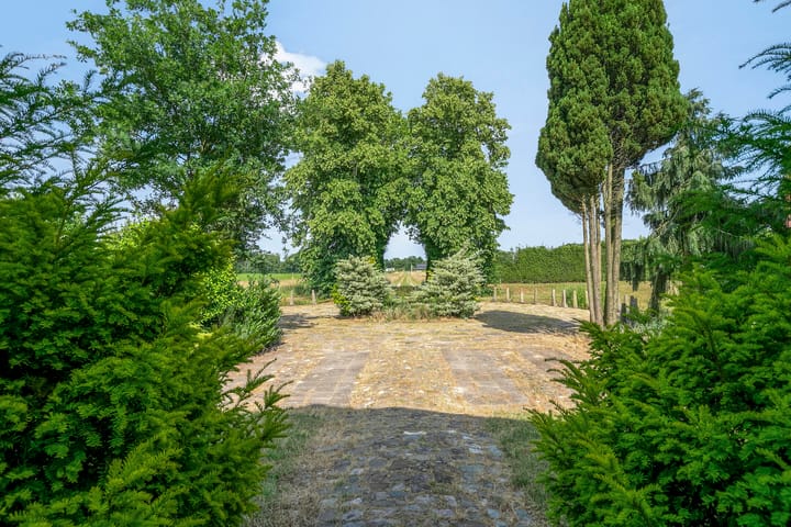 Foto 80 van Lorbaan 14