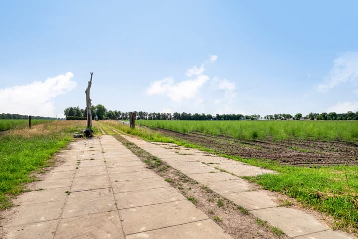 Foto 81 van Lorbaan 14