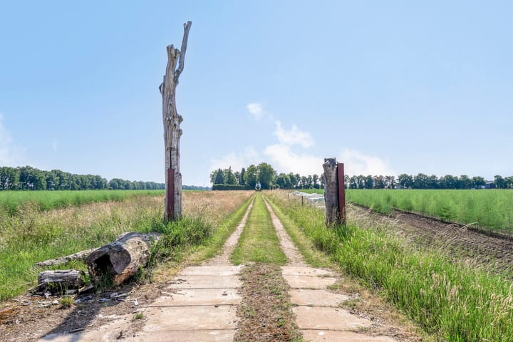 Foto 82 van Lorbaan 14