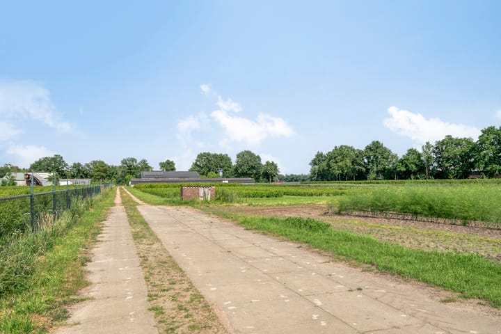 Foto 83 van Lorbaan 14