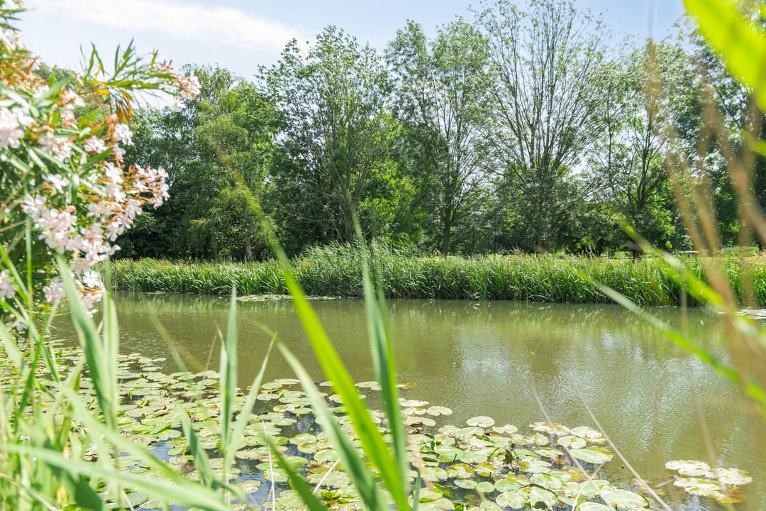 Foto 23 van Bermweg 422