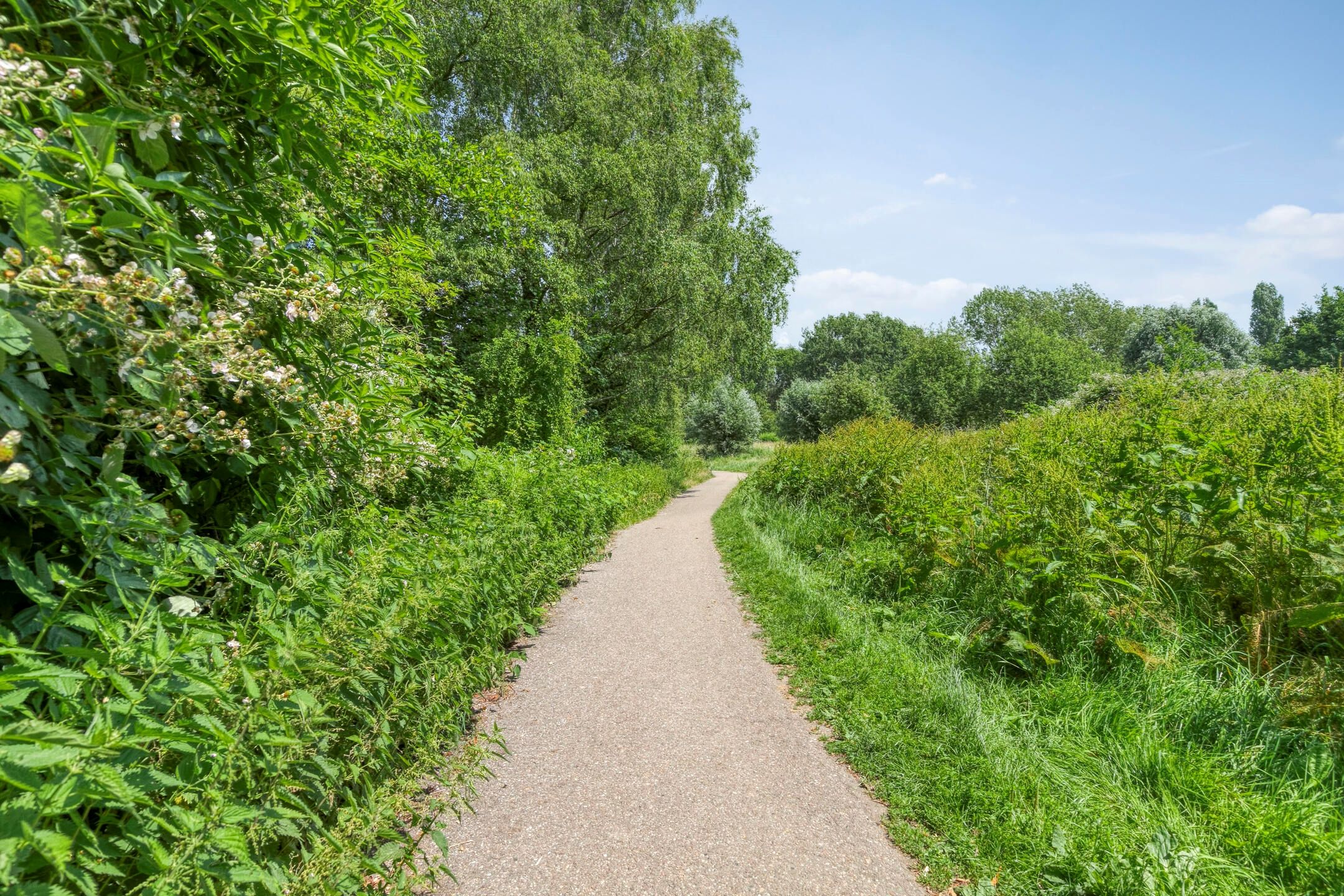 Foto 30 van Bermweg 422