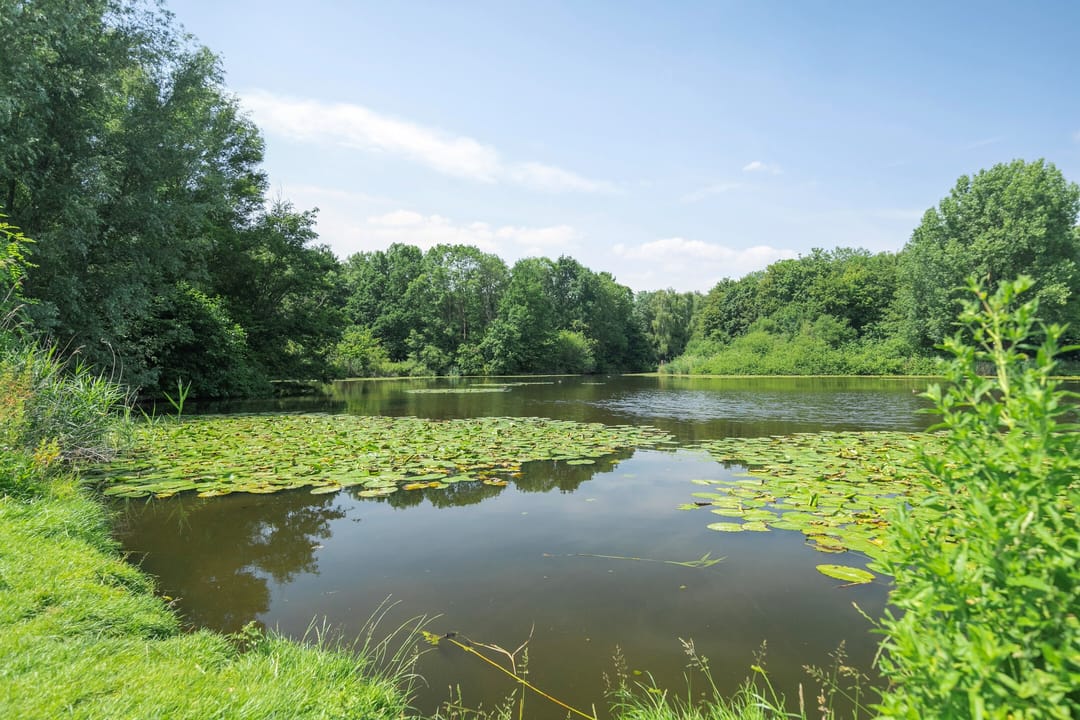 Foto 32 van Bermweg 422