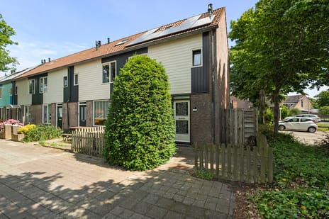 undefined main image