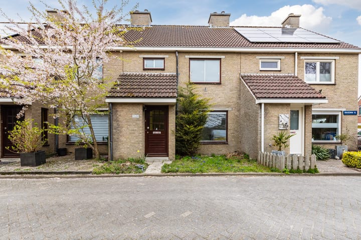 Foto 4 van Kruiszwin 5509