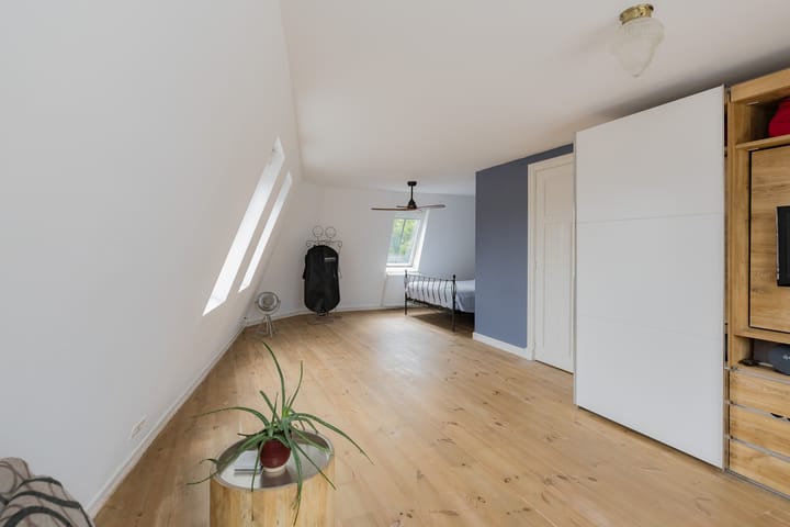 Photo 45 of Boerhaavestraat 8