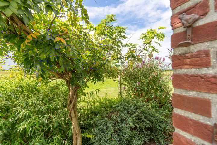 Foto 30 van Grotestraat 8