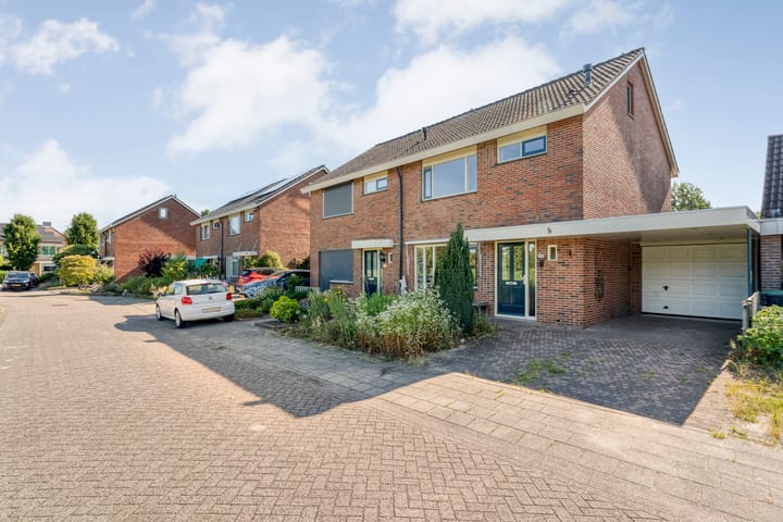 Foto 2 van De Roerdomp 12