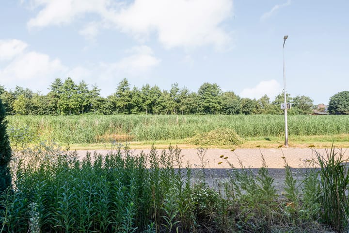 Foto 45 van De Roerdomp 12