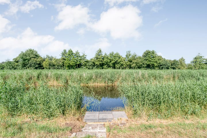 Foto 46 van De Roerdomp 12