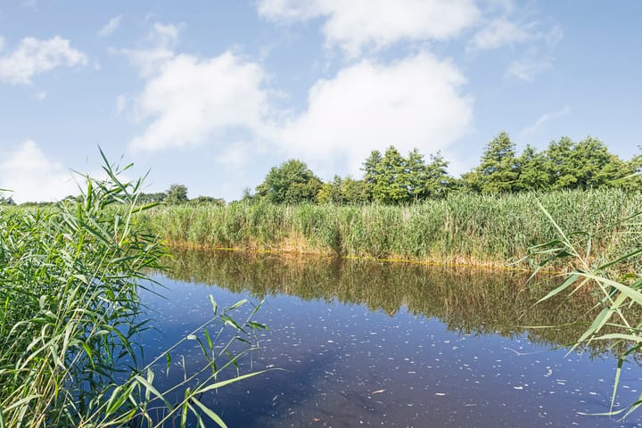 Foto 47 van De Roerdomp 12