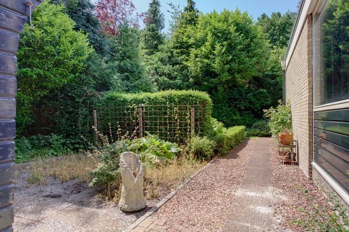 Photo 8 of Johan Willem Frisolaan 42