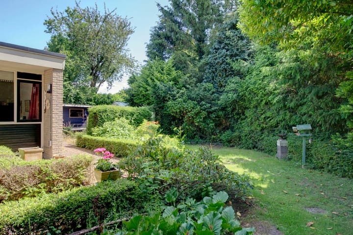 Photo 13 of Johan Willem Frisolaan 42