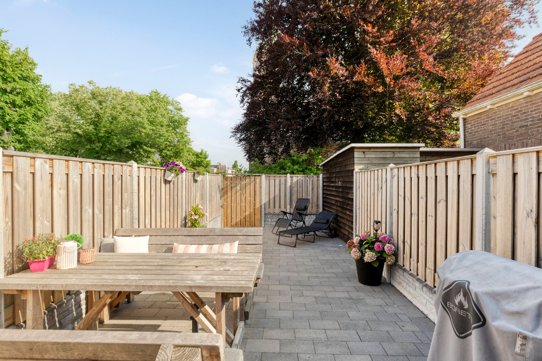 Foto 21 van Noordstraat 2