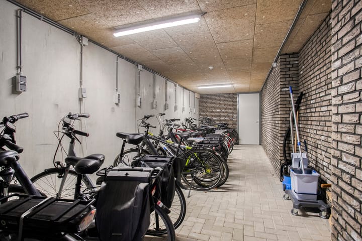 Foto 28 van Manebiest 11